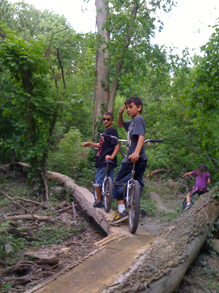 Biking in Deaborn woods